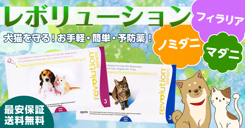 レボリューション 猫・犬用の最安値通販|フィラリアラボ